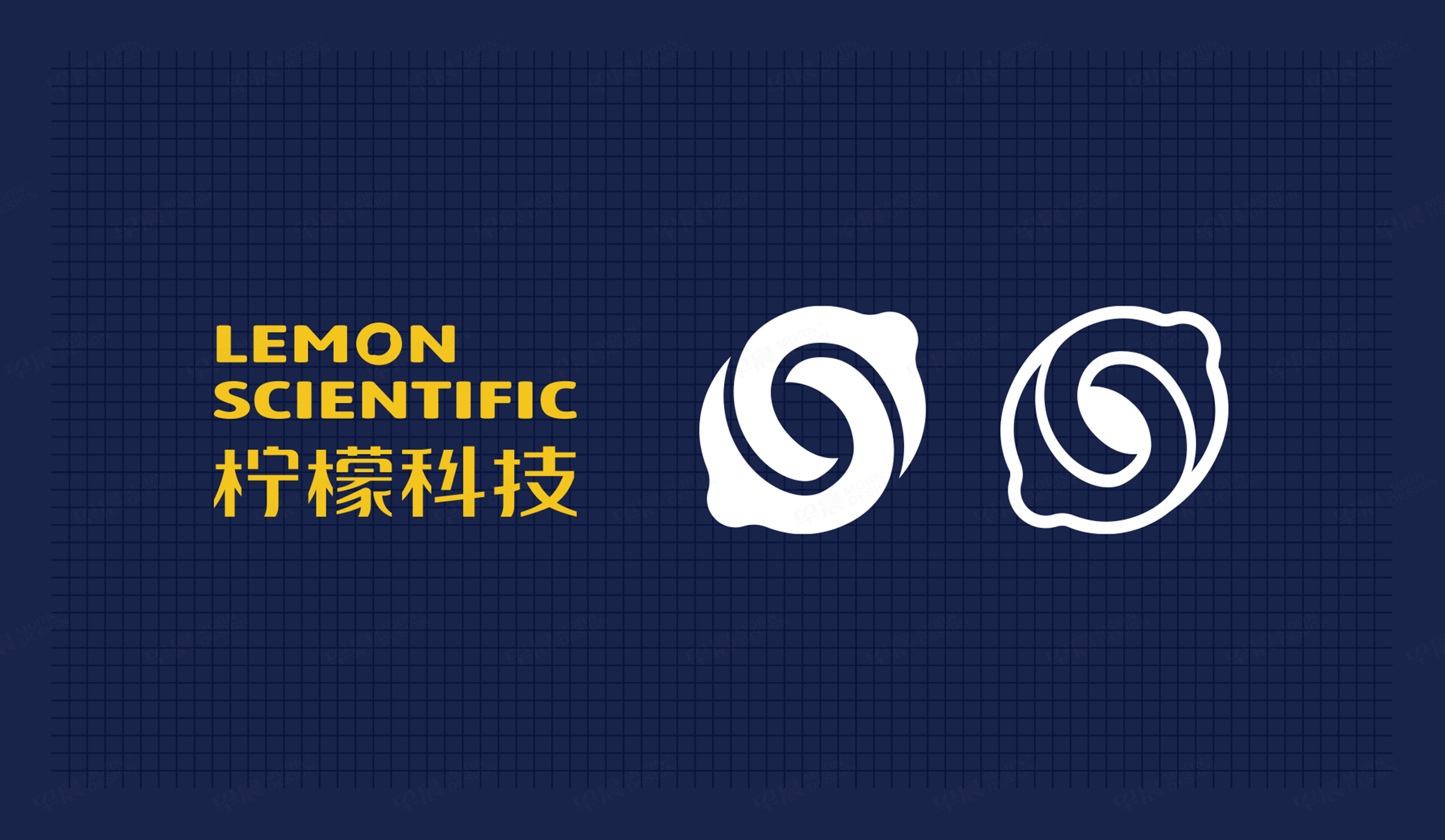 南京檸檬科技品牌logo設(shè)計(jì),VI設(shè)計(jì),,logo設(shè)計(jì),標(biāo)志設(shè)計(jì),公司