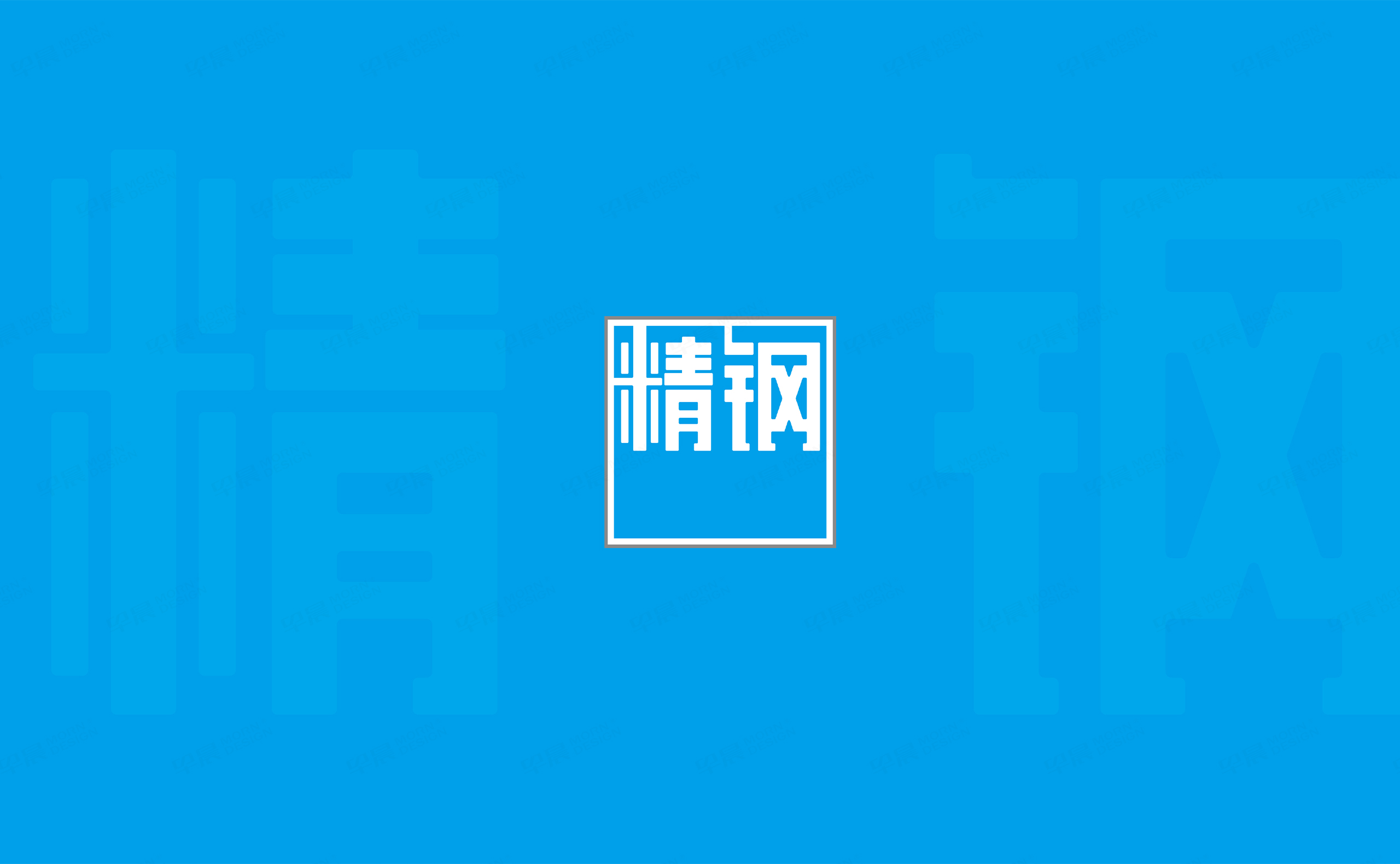 VI設(shè)計(jì),LOGO設(shè)計(jì),精鋼防腐瓦品牌VI設(shè)計(jì)和Logo設(shè)計(jì),公司