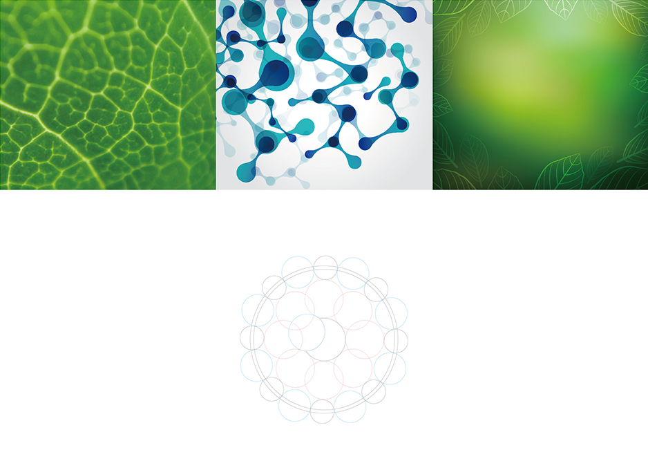 張根木生物科技logo設計,張家港品牌策劃,品牌設計★張家港早晨設計★企業(yè)VI設計,企業(yè)策劃,形象設計,張家港Logo設計,標志設計,張家港商標設計,字體設計,圖形設計