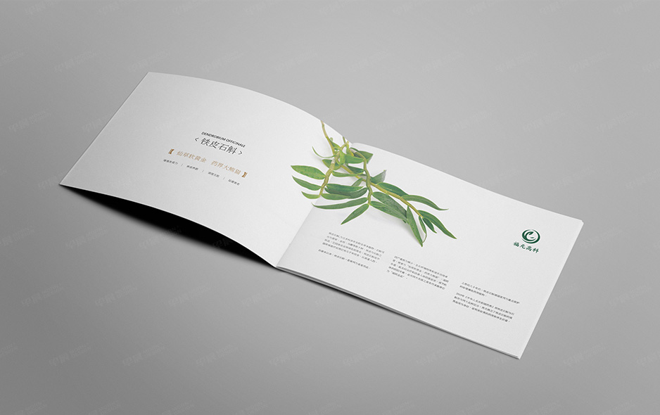 鐵皮石斛,產(chǎn)品冊設(shè)計,樣本設(shè)計,畫冊設(shè)計,無錫,常州,南通,泰州,張家港,江陰,昆山,靖江,如皋,福元高科,公司